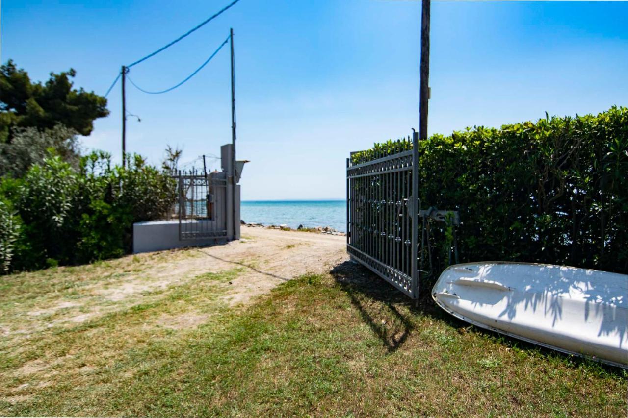 Clio Beach House By Travel Pro Services - Metochi Halkidiki Созополи Екстериор снимка
