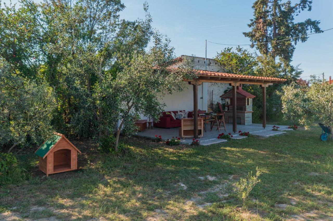 Clio Beach House By Travel Pro Services - Metochi Halkidiki Созополи Екстериор снимка