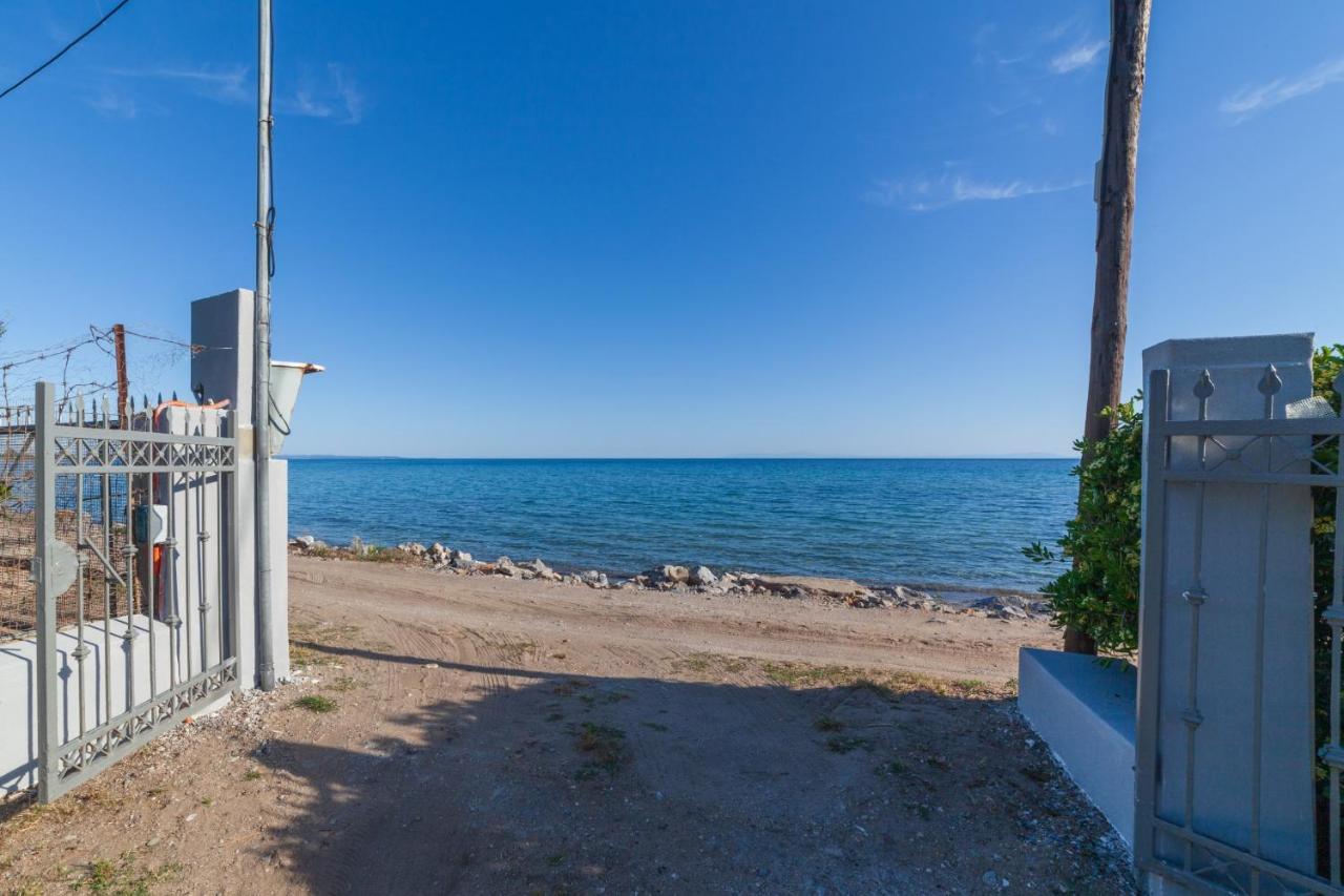 Clio Beach House By Travel Pro Services - Metochi Halkidiki Созополи Екстериор снимка